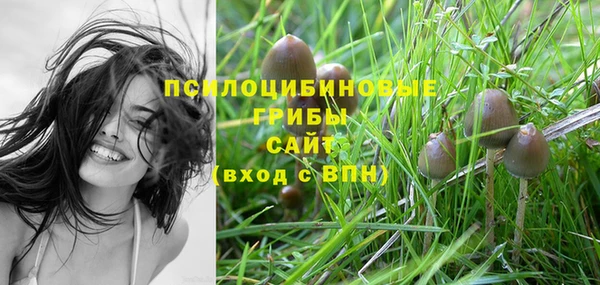 круглые Пересвет