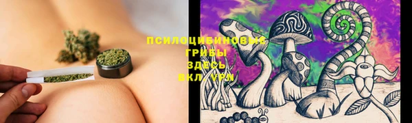 круглые Пересвет