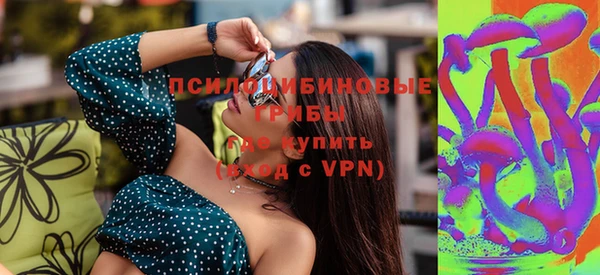 круглые Пересвет