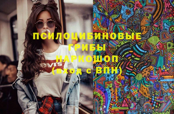 хмурый Пестово