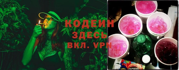 хмурый Пестово