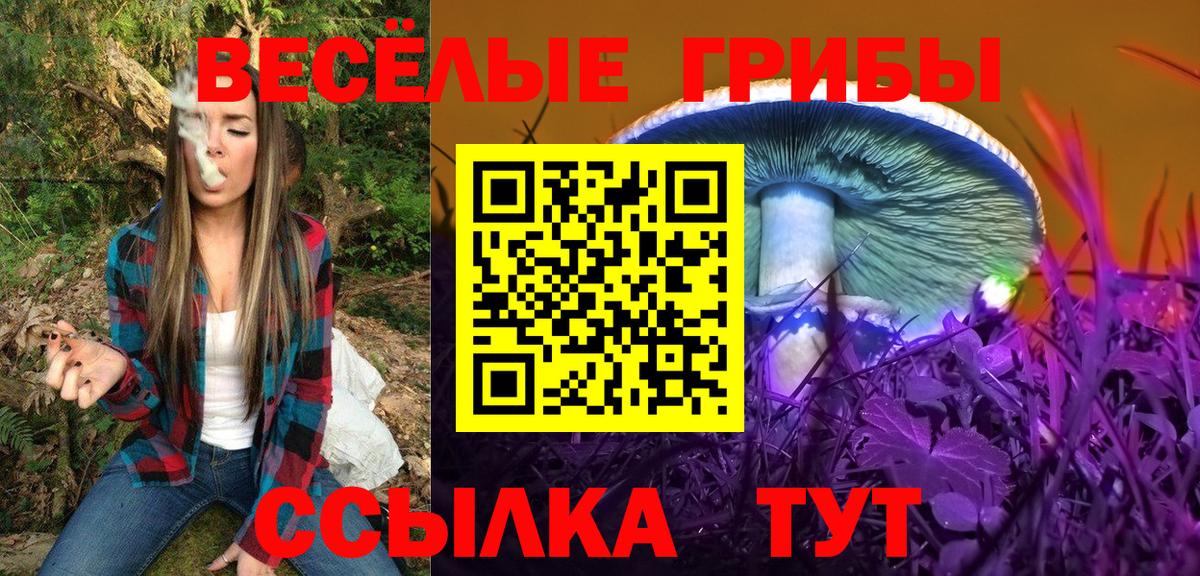Псилоцибиновые грибы Psilocybine cubensis Урюпинск
