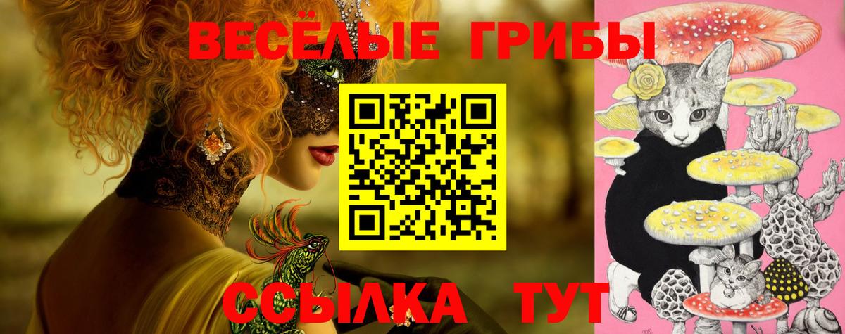 Урюпинск  Галлюциногенные грибы Psilocybe  Вход с VPN  Псилоцибиновые грибы прущие грибы 